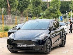 Tesla Model Y Standard Range RWD - ფოტო 1