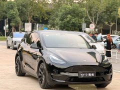 Tesla Model Y Standard Range RWD - ფოტო 3