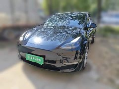 Tesla Model Y Standard Range RWD - ფოტო 1