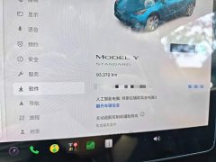 Tesla Model Y Standard Range RWD - ფოტო 13