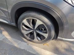 BYD Song Plus New Energy DM-i 110KM Flagship - ფოტო 6