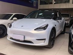 Tesla Model Y Rear-Wheel Drive - ფოტო 1
