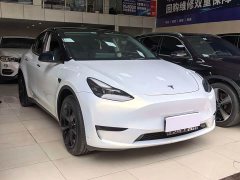 Tesla Model Y Rear-Wheel Drive - ფოტო 2