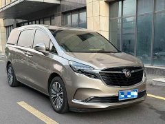 Buick GL8 ES Land Respect 653T Luxury - ფოტო 3