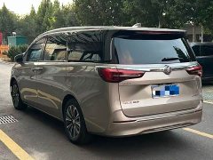 Buick GL8 ES Land Respect 653T Luxury - ფოტო 4