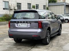 Haval H5 2.0T Automatic Four-Wheel Drive Elite Gasoline - ფოტო 12