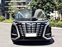 Denza BYD Denza D9 DM-i 970 Luxury - ფოტო 2