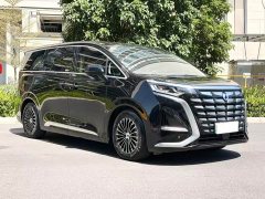 Denza BYD Denza D9 DM-i 970 Luxury - ფოტო 3