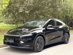 Tesla Model Y Rear-Wheel Drive - ფოტო 1