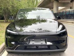 Tesla Model Y Rear-Wheel Drive - ფოტო 2