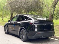 Tesla Model Y Rear-Wheel Drive - ფოტო 6