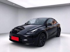 Tesla Model Y Rear-Wheel Drive - ფოტო 1