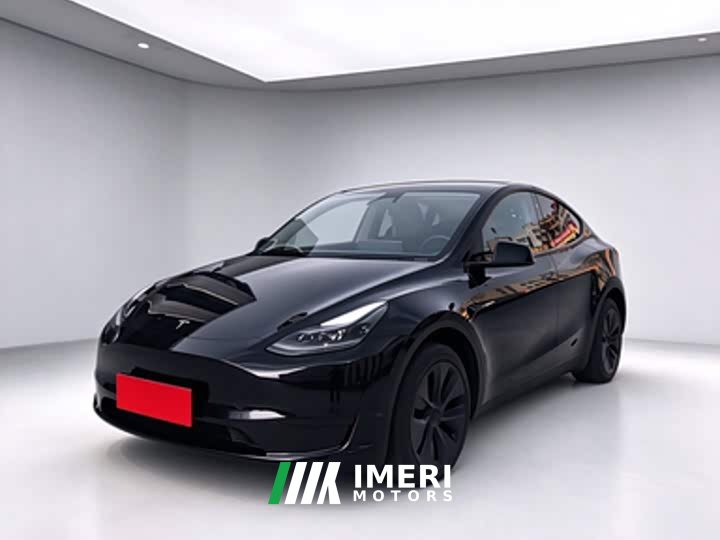 Tesla Model Y Rear-Wheel Drive