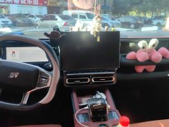 Jetour Shanhai T1 150km Discovery - ფოტო 13