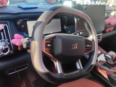 Jetour Shanhai T1 150km Discovery - ფოტო 15