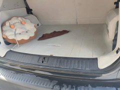Jetour Shanhai T1 150km Discovery - ფოტო 4