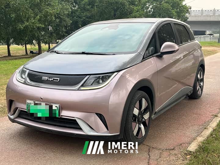 BYD Dolphin 401km Knight Edition - ავტომობილი ჩინეთიდან