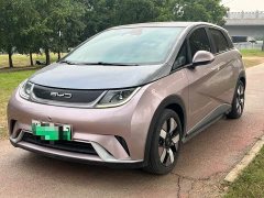 BYD Dolphin 401km Knight Edition - ფოტო 1