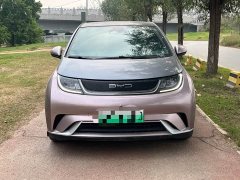BYD Dolphin 401km Knight Edition - ფოტო 2