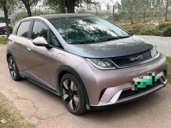 BYD Dolphin 401km Knight Edition - ფოტო 3