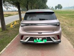 BYD Dolphin 401km Knight Edition - ფოტო 7