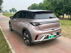 BYD Dolphin 401km Knight Edition - ფოტო 8