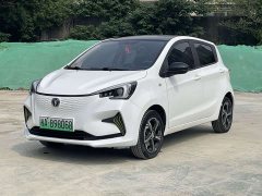 Changan Benben E-Star 2020 Joyful Edition Lithium Iron Phosphate (31.18kWh) - ფოტო 1