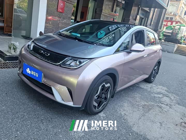 BYD Dolphin 405km Fashion Edition - ავტომობილი ჩინეთიდან