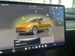 Tesla Model Y Rear-Wheel Drive - ფოტო 13