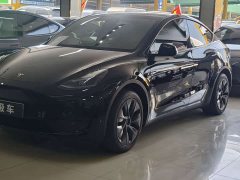 Tesla Model Y Rear-Wheel Drive - ფოტო 15