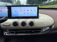 Wuling Binguo 2024 410km Lingxi Premium Edition - ფოტო 10