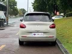 Wuling Binguo 2024 410km Lingxi Premium Edition - ფოტო 5
