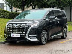 Denza BYD Denza D9 2024 DM-i 1050 Premium - ფოტო 1