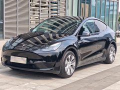 Tesla Model Y Rear-Wheel Drive - ფოტო 1
