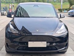 Tesla Model Y Rear-Wheel Drive - ფოტო 2