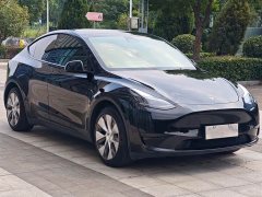 Tesla Model Y Rear-Wheel Drive - ფოტო 3