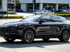 Porsche 2019 Cayenne 3.0T - ფოტო 1