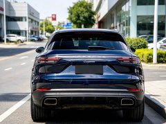 Porsche 2019 Cayenne 3.0T - ფოტო 17