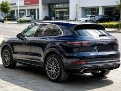 Porsche 2019 Cayenne 3.0T - ფოტო 18