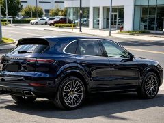 Porsche 2019 Cayenne 3.0T - ფოტო 19