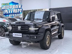 Tank 300 2.0T Conqueror - ფოტო 1