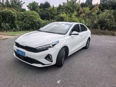 Kia K3 1.5L CVT Luxury Edition - ფოტო 1