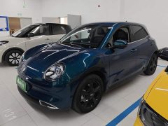 ORA Good Cat 401km Luxury - ფოტო 1
