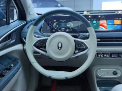 ORA Good Cat 401km Luxury - ფოტო 15