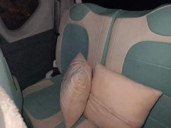 Wuling Hongguang MINIEV 2021 Macaron Premium Edition LFP - ფოტო 18