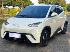 BYD Seagull Flying Edition - ფოტო 1