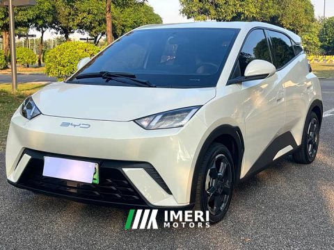 2023 BYD Seagull Flying Edition - ავტომობილი ჩინეთიდან