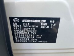 BYD Seagull Flying Edition - ფოტო 15