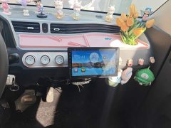 Wuling Hongguang MINIEV Macaron Fashion Edition LFP Battery - ფოტო 9