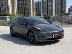 Tesla Model 3 Facelift Standard Range RWD Upgrade 3D1 - ფოტო 2